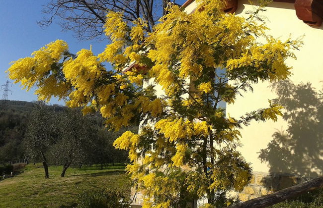 Agriturismo Poggiopiano - Photo 52