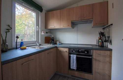 Racoon - Außergewöhnliches Tinyhauserlebnis beim Reptilienzoo Reptilium - Foto 43