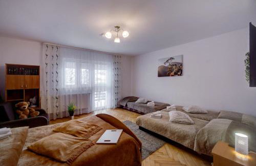 Apartamenty Bieszczady - Foto 8