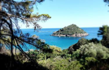 Panoramica Flat - Foto 37