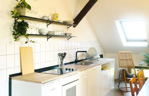 P6 - Familienwohnung am Park und Saale - Foto 36