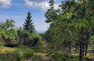 Ferienwohnung Splitek - Foto 22