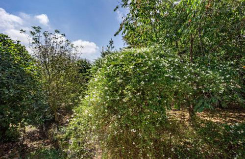 Casa da Penela - Foto 56