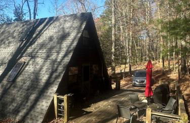 Bearly Behavin - Foto 26