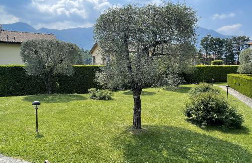 Alba sul Lago - Foto 23