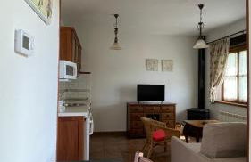 Apartamentos El Picoretu - Foto 64