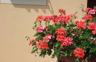 Villa Antica Sosta Renai - Foto 14