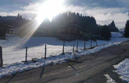 Bel Fiore - Monolocale - Foto 14