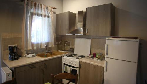 Morchella MushROOM - Foto 4