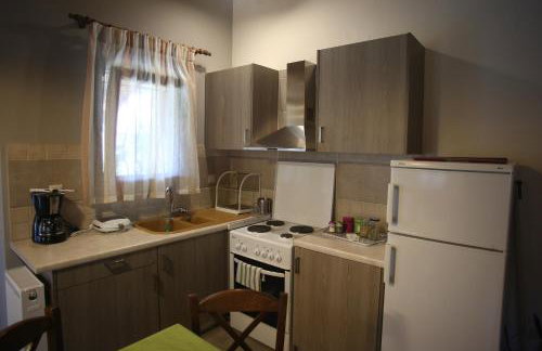 Morchella MushROOM - Foto 4