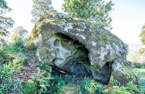 Quinta das Lamas - Antiga Adega - Foto 38