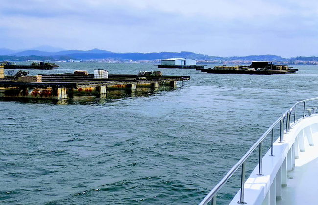 Ría de Arousa Cruise + Lunch - Photo 1