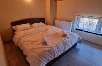 Φηγός - Photo 15