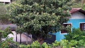 Casa Vargem Pequena - Foto 5