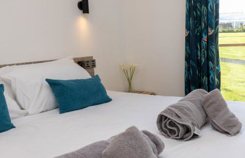 The Pig Arc - Foto 38