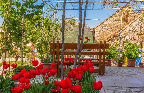 Greenway Apartment Radić - Photo 42