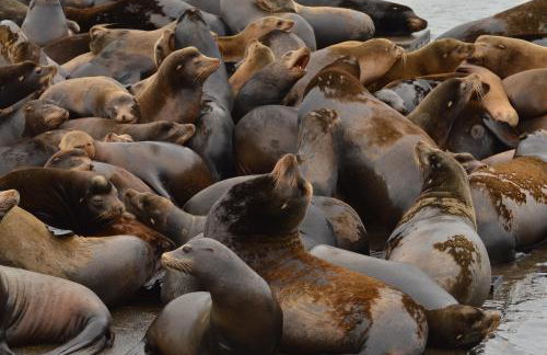 Astoria Painted Lady Historic Apt with River View! - Foto 27