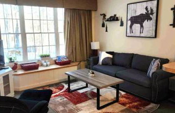 Deluxe Mountain Fox Suite Jiminy Peak - Ski On Off - Fully Redone Decor - Foto 18