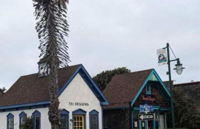 Coastal Palm Tree 2BR Retreat Ocean View - Foto 43