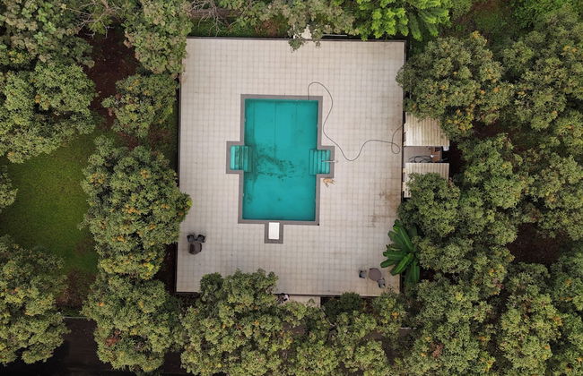 Tiki Farms - Foto 31