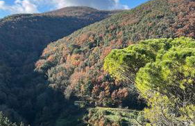 Casa d'Arte - Foto 10