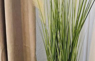 Central City White Line - Foto 15