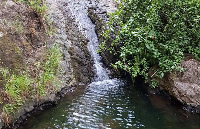 Senderismo por el barranco de Azuaje - Foto 5