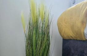 Corby Stay 2BR Work Trips & Family Friendly - Foto 53