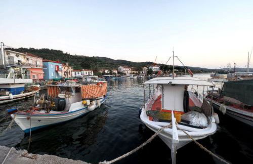 Ocean Vista Retreat - Photo 28