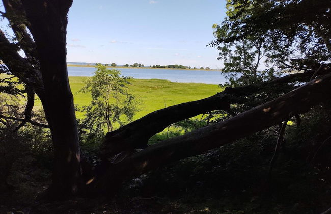 4 Star Holiday Home in Praesto - Foto 21