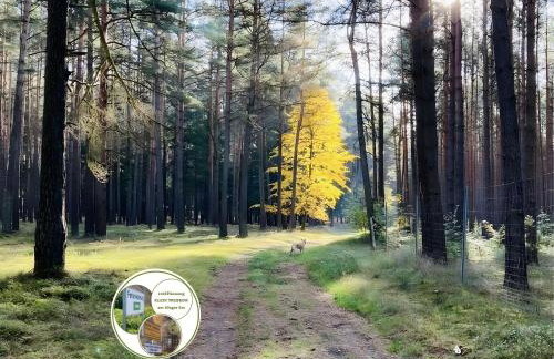 Entspannungszeit am Kluger See - Foto 20