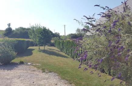 Villa du pic vert 105m2 , 4 chambres de plain-pied avec piscine à Montfaucon - Foto 12