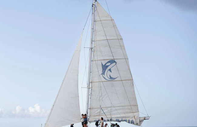 Whale & Dolphin Watching in Puerto Calero - Photo 9