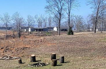 The Tackle Box - Foto 22