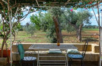 Masseria Tornesella Don Giuliano - Foto 58