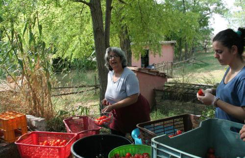 Masseria Sant'Agapito - Foto 53