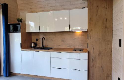 Domki nad stawem w Harszu - Foto 37