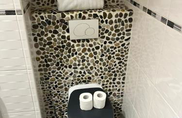 Appart toulousaine avec patio rdc - Foto 10