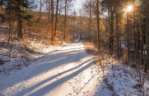 Alb-Suite Family Friendly Premium 2BR Apartment - Photo 28