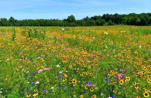 The Estate House-Timeless Elegance at 1885 Farms - Foto 3