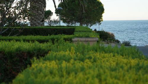 Cala Pepo Beach - Foto 4, Garden