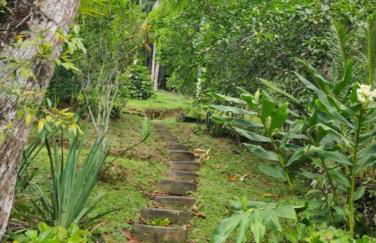 O Refúgio Perfeito - Photo 19