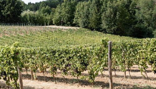 Cascina Bella Relais - Foto 5