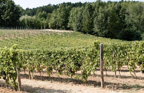 Cascina Bella Relais - Foto 5