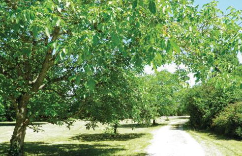 4 Bedroom Amazing Home In Bourgueil - Foto 15