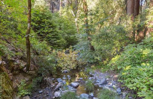 Modern Organic Home with Backyard Creek near State Park - Foto 36