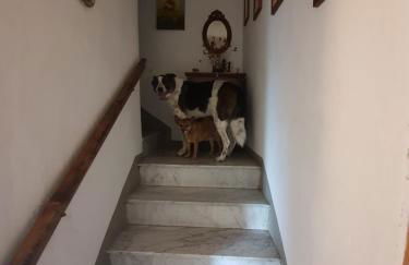 apartament zeus mountain - Foto 7