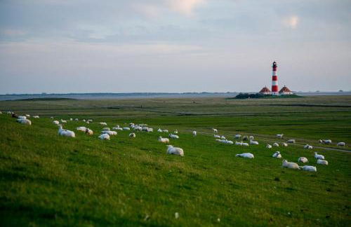 Schäferhof Dircks Fewo 2 - Foto 30