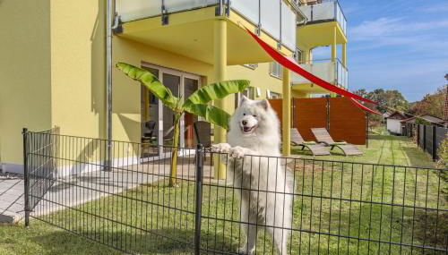 Haus Sonnengruss - Foto 5, Garden