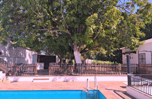 Complejo Apartamentos Rurales Molino de Abajo - Foto 19